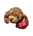 リペアズなかよち3姉妹でしゅ♡（個別スタンプ：2）