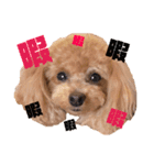 リペアズなかよち3姉妹でしゅ♡（個別スタンプ：4）