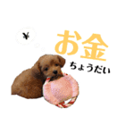 むぎさら（個別スタンプ：1）