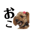 むぎさら（個別スタンプ：13）