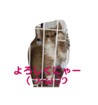 仕事れんくんバージョン（個別スタンプ：5）
