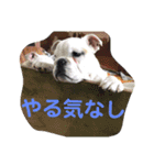 仕事れんくんバージョン（個別スタンプ：7）