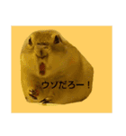 毛皮の妖精たち（個別スタンプ：1）