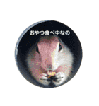 毛皮の妖精たち（個別スタンプ：2）
