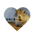 毛皮の妖精たち（個別スタンプ：4）