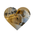 毛皮の妖精たち（個別スタンプ：5）