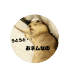 毛皮の妖精たち（個別スタンプ：6）