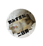 毛皮の妖精たち（個別スタンプ：8）