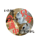 毛皮の妖精たち（個別スタンプ：17）