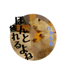 毛皮の妖精たち（個別スタンプ：21）