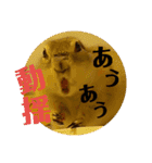 毛皮の妖精たち（個別スタンプ：24）