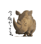 AROG animals(文字入り)（個別スタンプ：2）