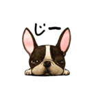 AROG animals(文字入り)（個別スタンプ：7）
