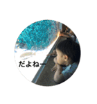 よんよんだお（個別スタンプ：16）