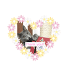 ロビちゃんその1（個別スタンプ：1）