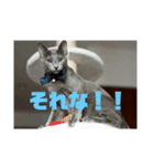 ロビちゃんその1（個別スタンプ：4）
