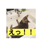 ロビちゃんその1（個別スタンプ：5）