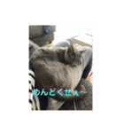 ロビちゃんその1（個別スタンプ：6）