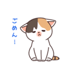 三毛猫ぽてと「日常編」（個別スタンプ：37）