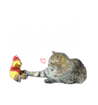 ころたぬ（個別スタンプ：14）
