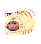 ちーあー（個別スタンプ：24）