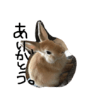 るあささ（個別スタンプ：1）