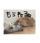 るあささ（個別スタンプ：7）