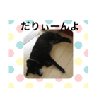備後（個別スタンプ：5）