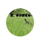 備後（個別スタンプ：7）