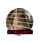 天使アッサム（個別スタンプ：1）