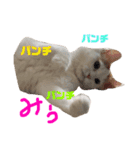 美雨の日常（個別スタンプ：4）