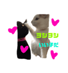 美雨の日常（個別スタンプ：7）