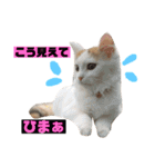 美雨の日常（個別スタンプ：9）