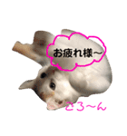 美雨の日常（個別スタンプ：13）