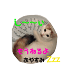 美雨の日常（個別スタンプ：16）