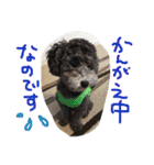 やんちゃ犬むーん  2（個別スタンプ：2）