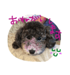 やんちゃ犬むーん  2（個別スタンプ：3）