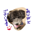 やんちゃ犬むーん  2（個別スタンプ：4）