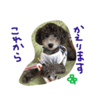 やんちゃ犬むーん  2（個別スタンプ：14）