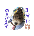 やんちゃ犬むーん  2（個別スタンプ：17）