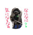 やんちゃ犬むーん  2（個別スタンプ：18）