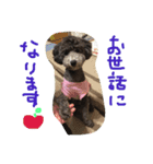 やんちゃ犬むーん  2（個別スタンプ：21）