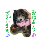 やんちゃ犬むーん  2（個別スタンプ：23）