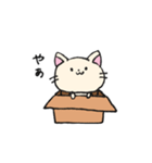 ダンボールネコ（個別スタンプ：1）