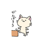 ダンボールネコ（個別スタンプ：5）