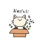 ダンボールネコ（個別スタンプ：6）