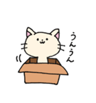 ダンボールネコ（個別スタンプ：9）