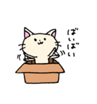 ダンボールネコ（個別スタンプ：11）