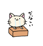 ダンボールネコ（個別スタンプ：13）