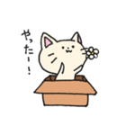 ダンボールネコ（個別スタンプ：17）
